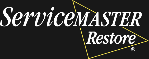 ServiceMaster by the Experts Logo